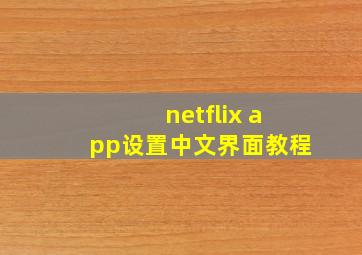 netflix app设置中文界面教程